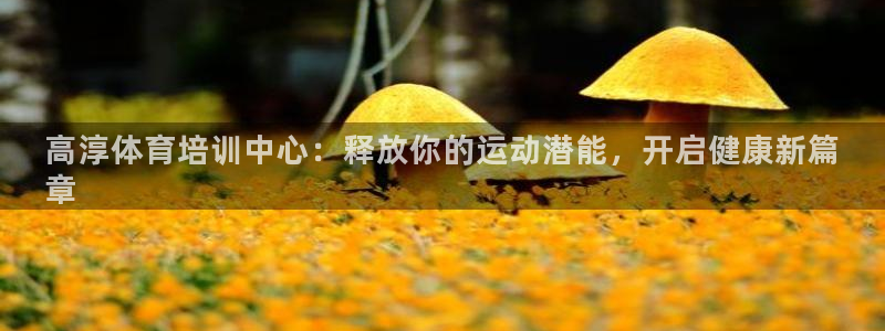 欧陆娱乐能提现嘛现在：高淳体育培训中心：释放你的运动