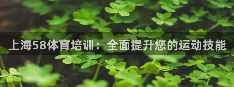 欧陆娱乐的故事有哪些：上海58体育培训：全面提升您的