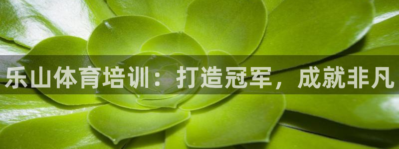欧陆娱乐图片：乐山体育培训：打造冠军，成就非凡