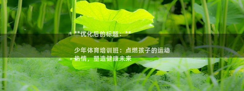 欧陆娱乐访问：**优化后的标题：**

少年体育培训