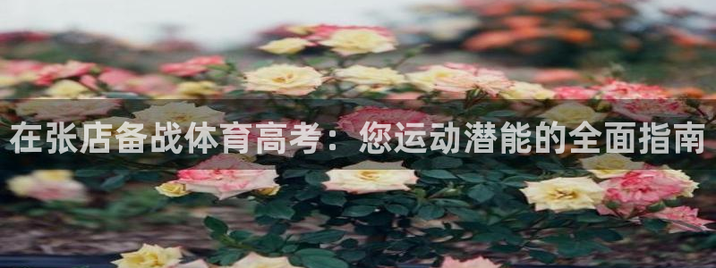 欧陆娱乐注册平台：在张店备战体育高考：您运动潜能的全