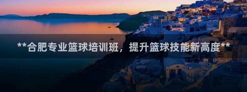 欧陆娱乐是正规吗?：**合肥专业篮球培训班，提升篮球