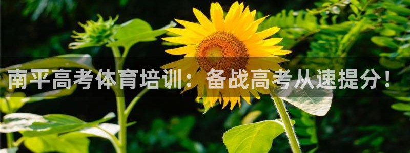 欧陆娱乐怎么注册帐号：南平高考体育培训：备战高考从速