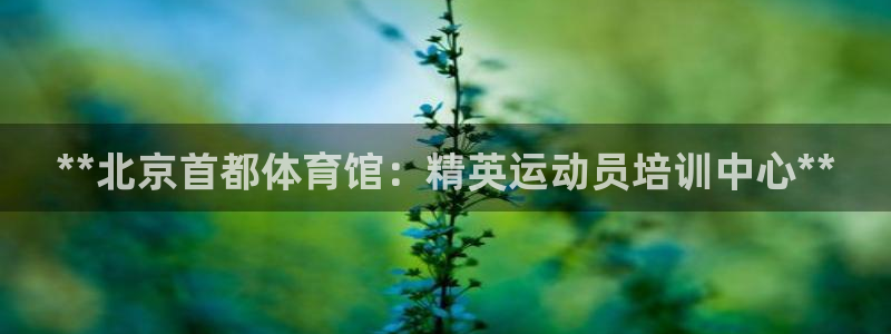 重庆欧陆娱乐有限公司电话：**北京首都体育馆：精英运