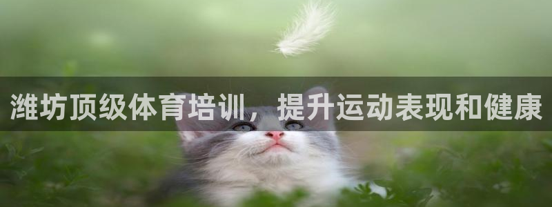 欧陆娱乐有限公司怎么样：潍坊顶级体育培训，提升运动表