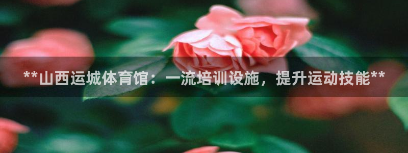 欧陆娱乐计划预测软件哪个好：**山西运城体育馆：一流