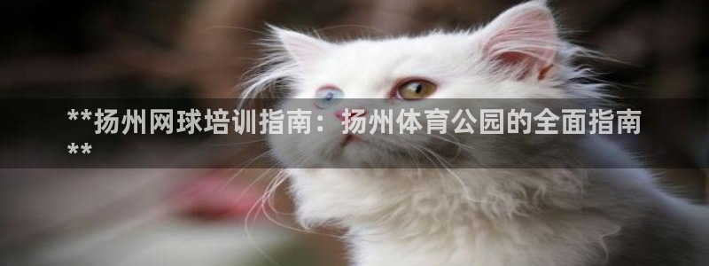 欧陆娱乐平台咋样啊：**扬州网球培训指南：扬州体育公