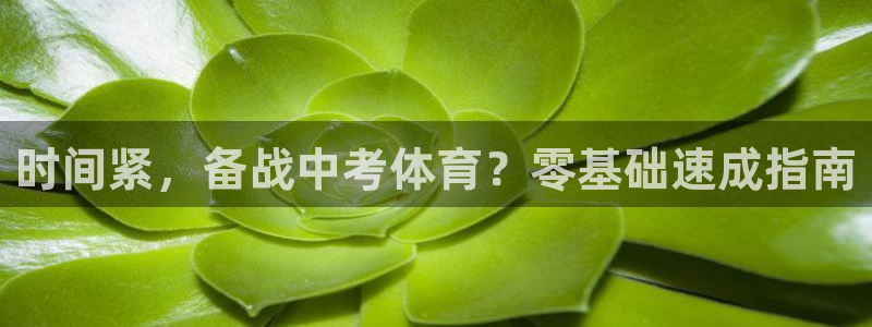 欧陆娱乐挂机项目怎么设置：时间紧，备战中考体育？零基础速成指