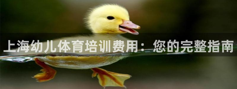 欧陆公司在哪里：上海幼儿体育培训费用：您的完整指南