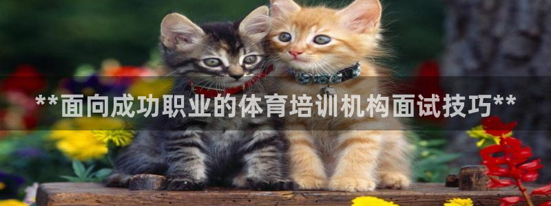 欧陆娱乐注册链接怎么弄：**面向成功职业的体育培训机