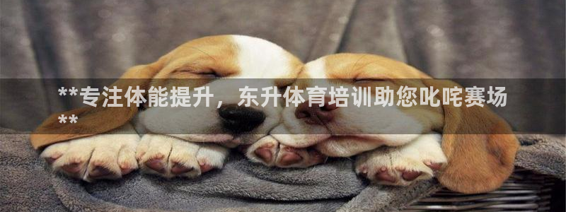 欧陆娱乐平台登陆地址是什么：**专注体能提升，东升体