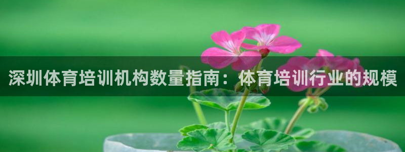 欧陆娱乐有风险吗：深圳体育培训机构数量指南：体育培训