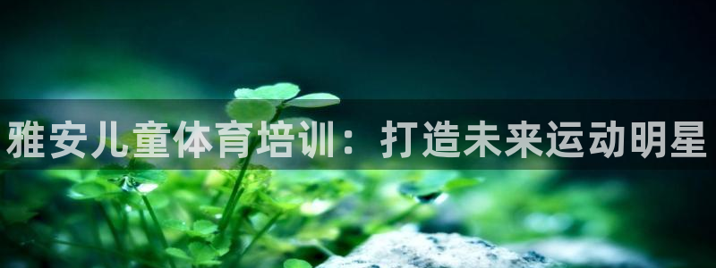 欧陆娱乐登陆平台官网：雅安儿童体育培训：打造未来运动