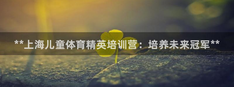 欧陆娱乐平台咋样赚钱快：**上海儿童体育精英培训营：培养未来