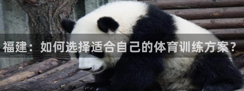 欧陆娱乐app打不开怎么回事视频：福建：如何选择适合自己的体