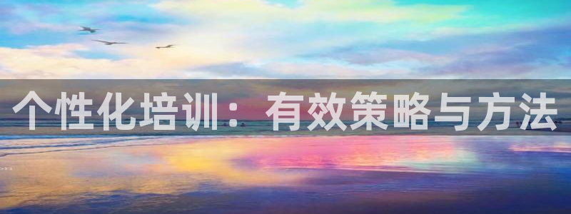欧陆娱乐平台官网下载：个性化培训：有效策略与方法