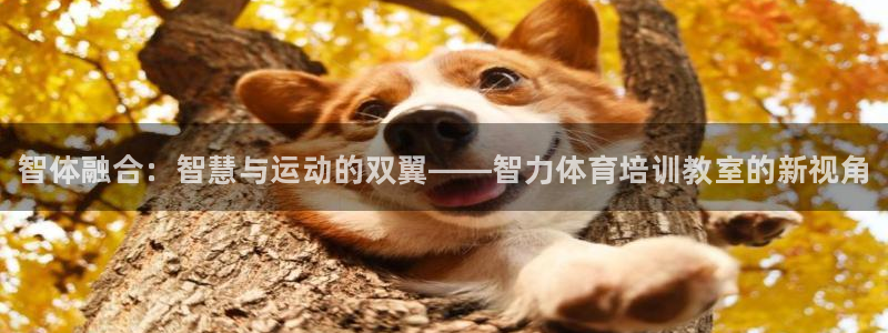 欧陆娱乐官网网址是多少：智体融合：智慧与运动的双翼——智力体